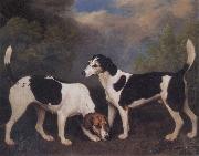 George Stubbs A Couple of Foxhounds oil on canvas